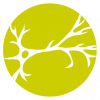Picto-Neurologie